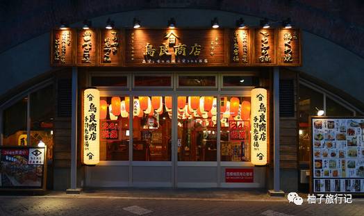 樱花旅行记全集视频,樱花季日本14天旅游攻略