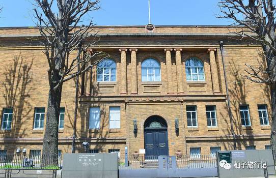 樱花旅行记全集视频,樱花季日本14天旅游攻略