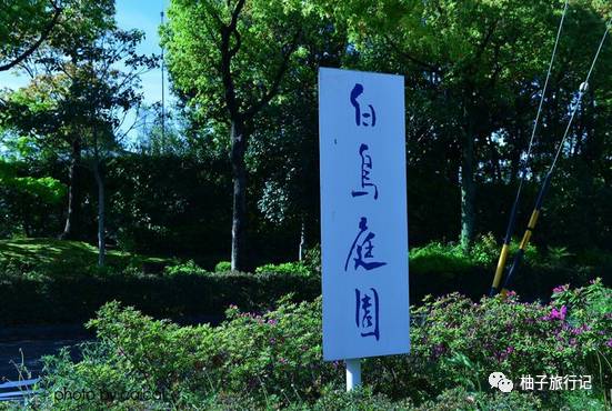 樱花旅行记全集视频,樱花季日本14天旅游攻略