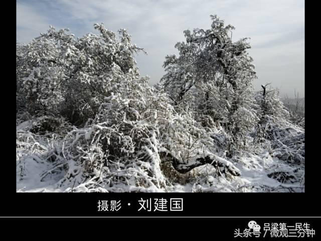 岚县野鸡山位于哪里,山西吕梁山雪景图片