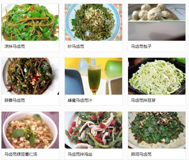 农村常见的野草是民间草药,有哪些田间野草是中药