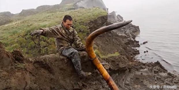 传奇国度的宝藏，从冻土中只要挖到1枚，几百万到手