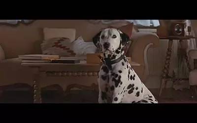 圣诞不知去哪，不如在家看这6部素食电影