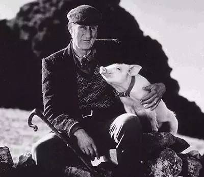 圣诞不知去哪，不如在家看这6部素食电影