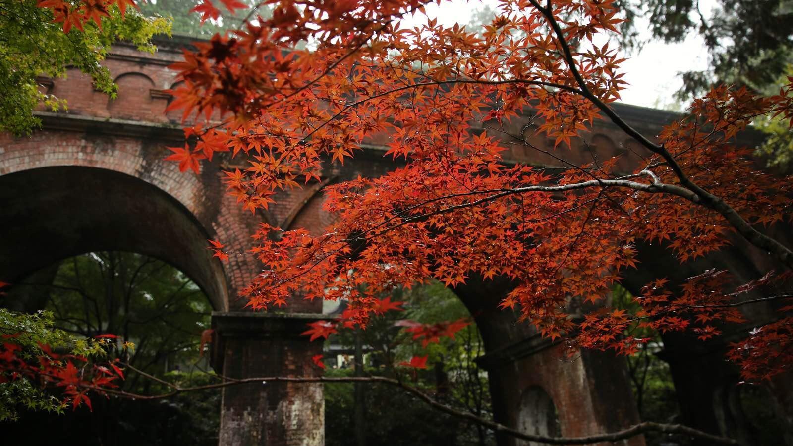 日本关西温泉圣地,日本关西房间内温泉