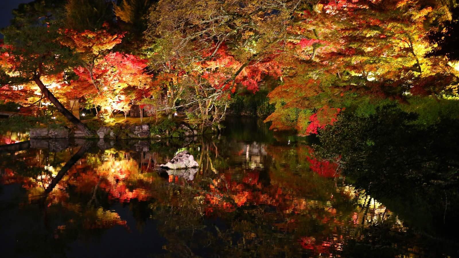 日本关西温泉圣地,日本关西房间内温泉