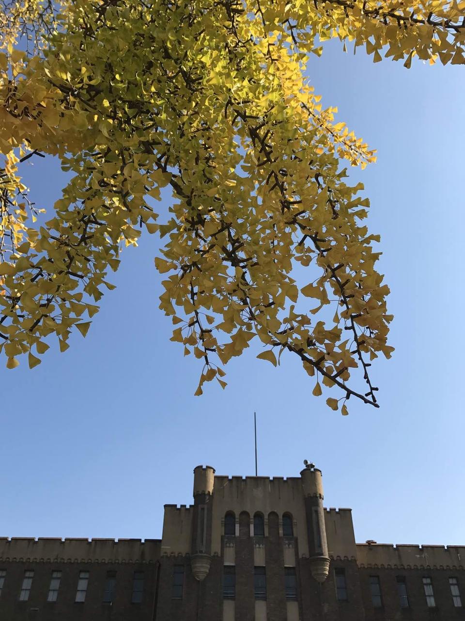 日本关西温泉圣地,日本关西房间内温泉