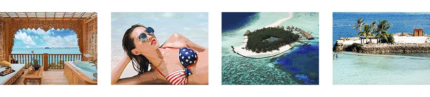 明星结婚地方,今年明星都报什么专业