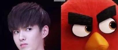 你没见过的搞笑表情包,你没见过世面表情包