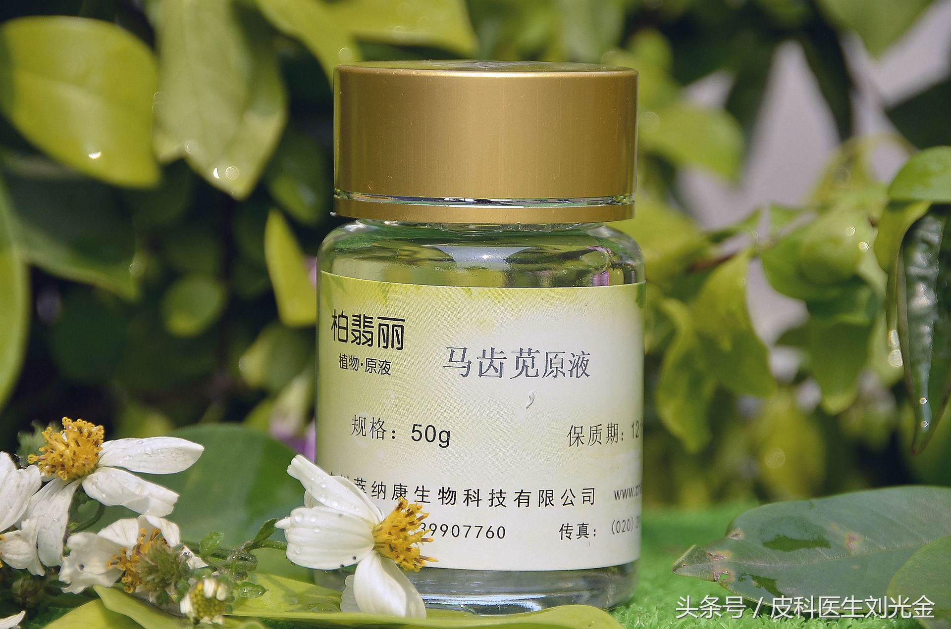 什么草有毒但能治皮肤病,农村常见的草都是治什么病的