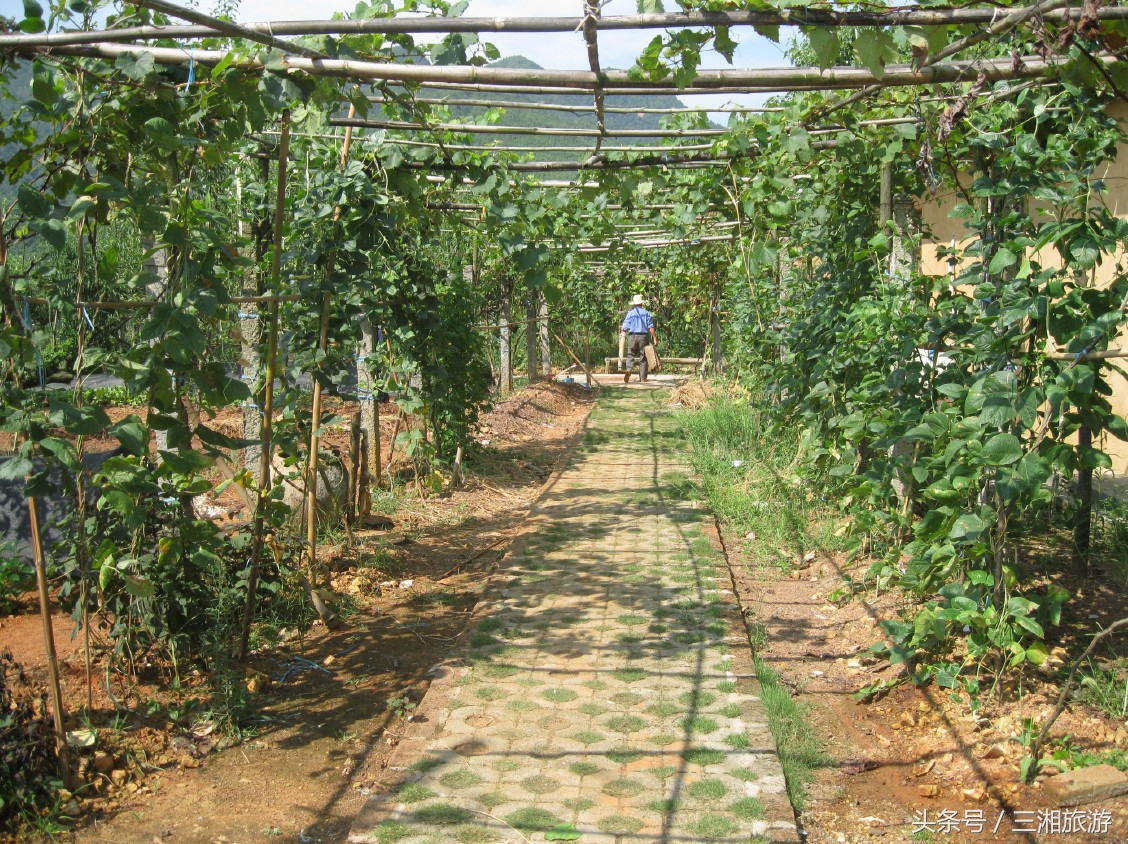 株洲5000亩农庄,株洲附近休闲农庄推荐