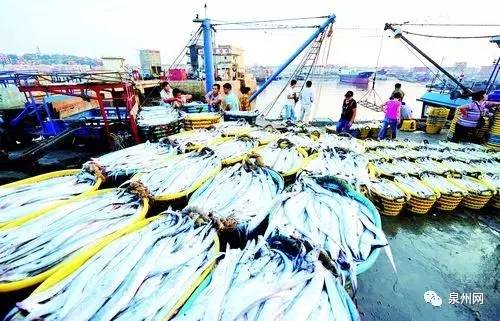 你以为这是“垃圾”！却不知有人这样用它们赚大钱！