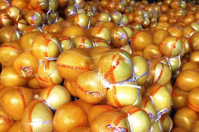 逛水果批发市场拿货,山东十大水果批发市场