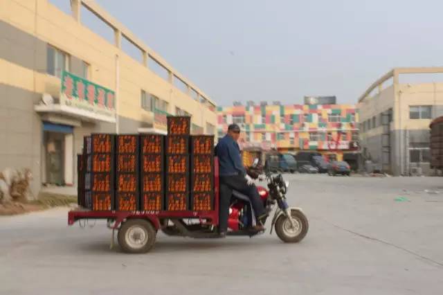 逛水果批发市场拿货,山东十大水果批发市场