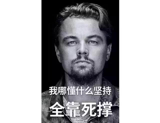 入门级相机到底还能不能买,近期发布值得入手的入门相机