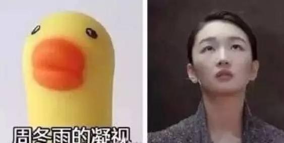 你没见过的搞笑表情包,你没见过世面表情包