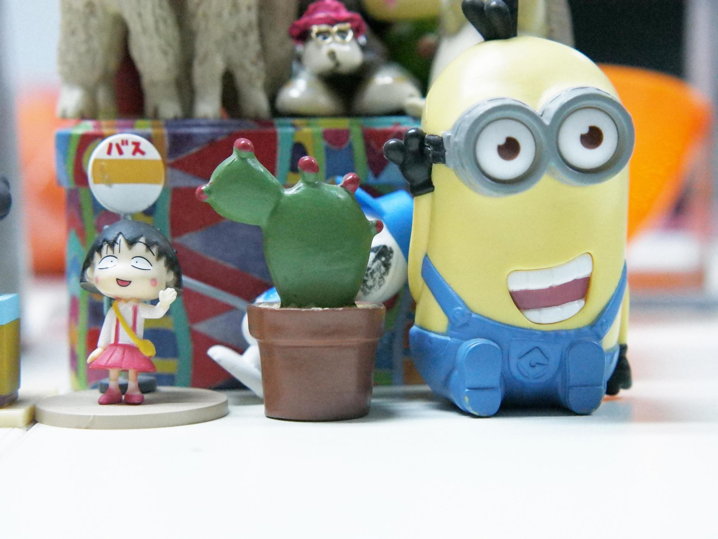 国产数码相机崛起,小蚁微单有哪些