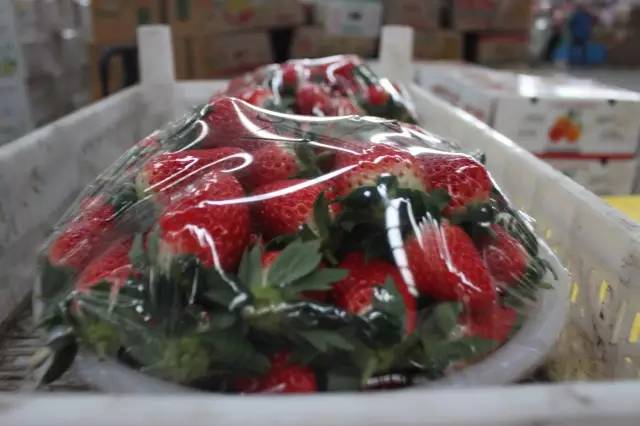 逛水果批发市场拿货,山东十大水果批发市场