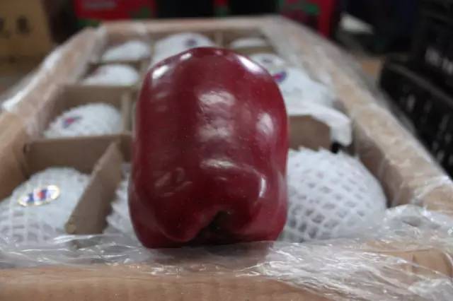 逛水果批发市场拿货,山东十大水果批发市场