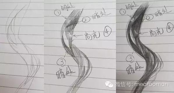 零基础小白如何画头发,零基础小白怎么画头发