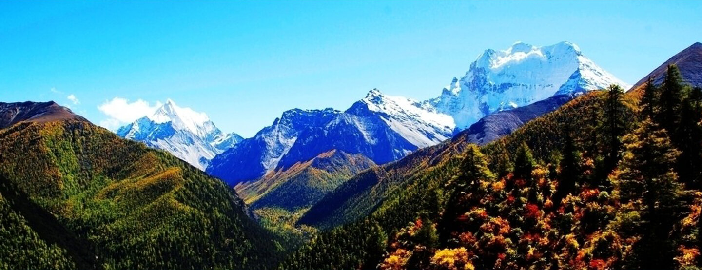 益圆木门最新排名,益圆木门和tata木门哪个好