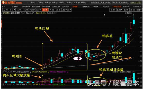 均线粘合突破选股公式大全,30分钟均线多头排列选股公式