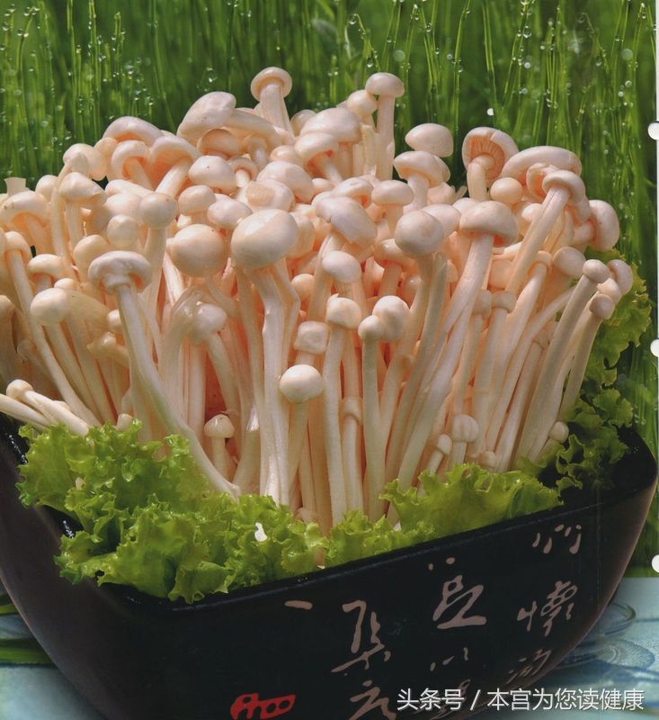 经常吃金针菇好吗,经常吃金针菇好不好