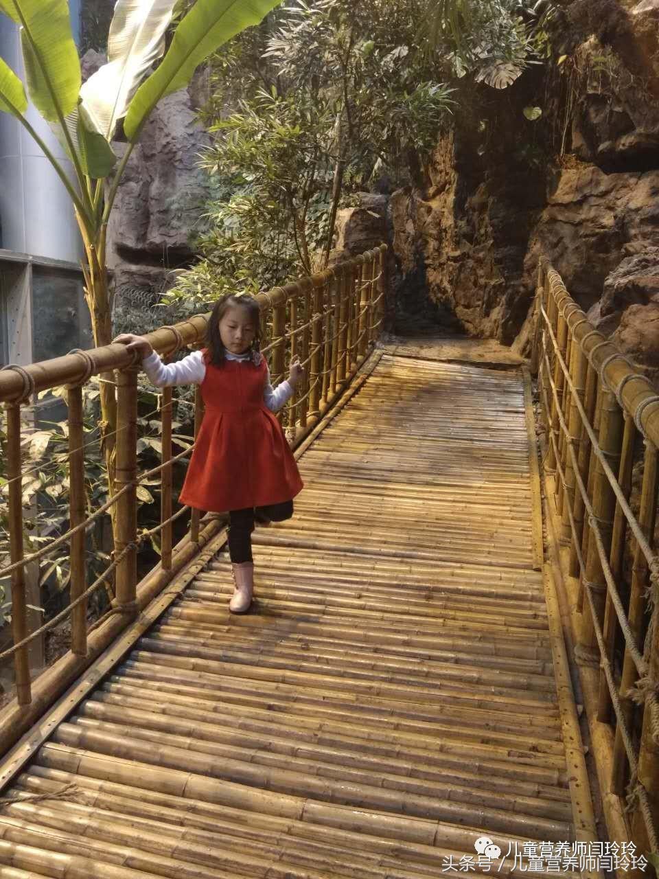 上海天文馆和科技馆哪个更值得去,上海儿童科技馆游玩攻略图片