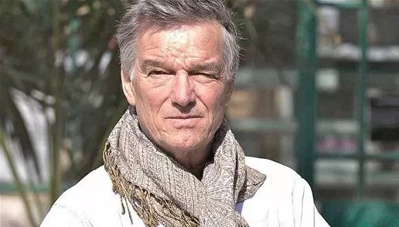 微观茶市丨平台交易或成新常态