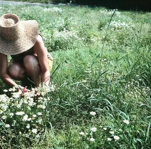 微观茶市丨平台交易或成新常态