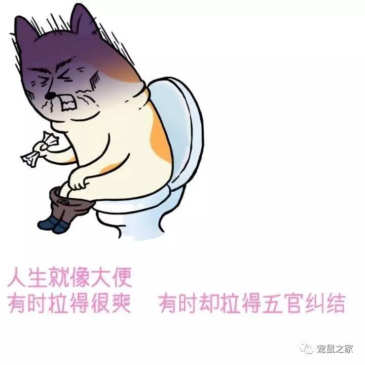 缇庨澶╀笅鍏荤敓澶у笀,缇庨澶╀笅棣欑尓