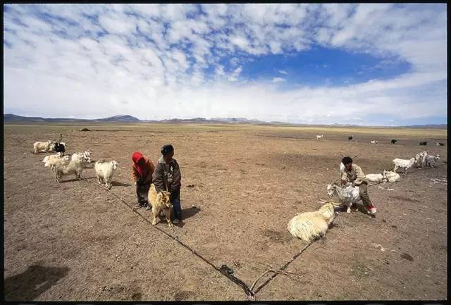 记一位走过云南每片土地的人文地理摄影师
