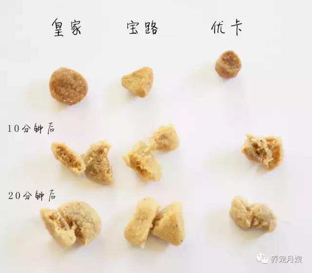 狗粮综合测评分析,狗粮怎么选多款狗粮测评来袭
