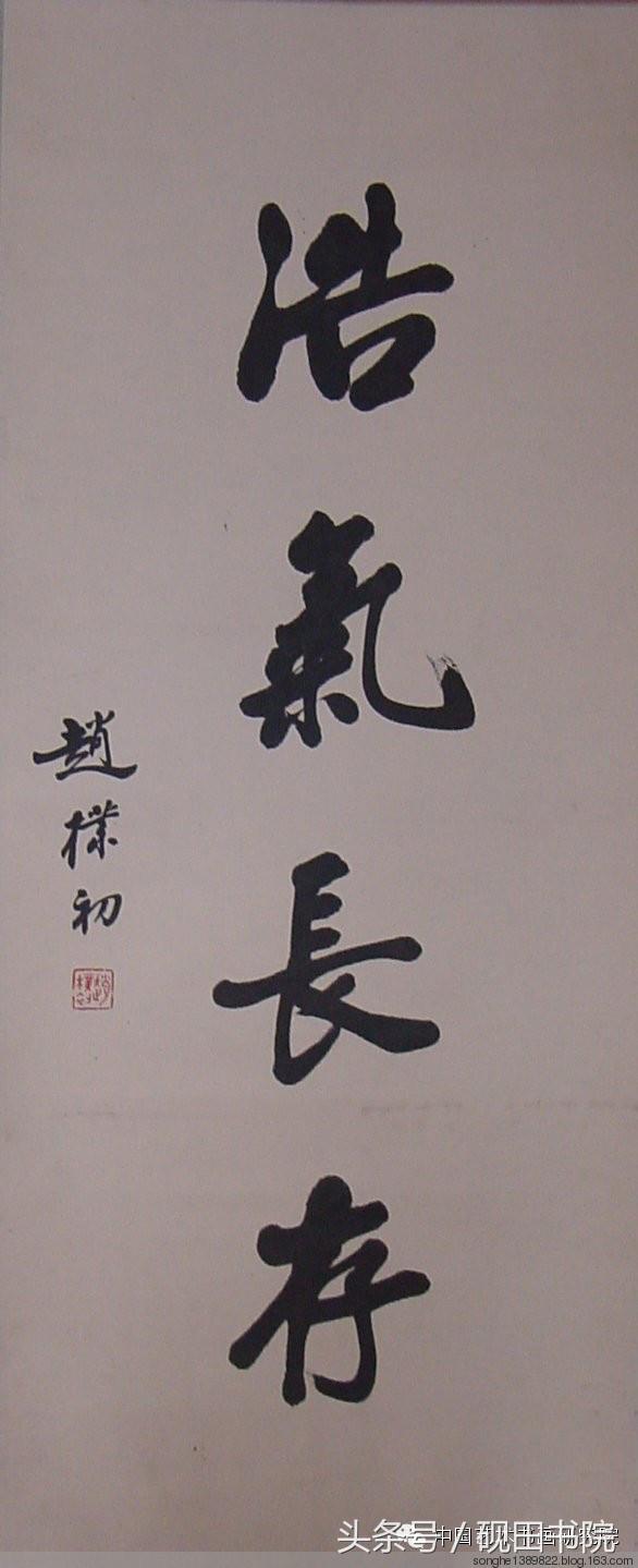 赵朴初书法作品怎么样,赵朴初的书法作品吉祥