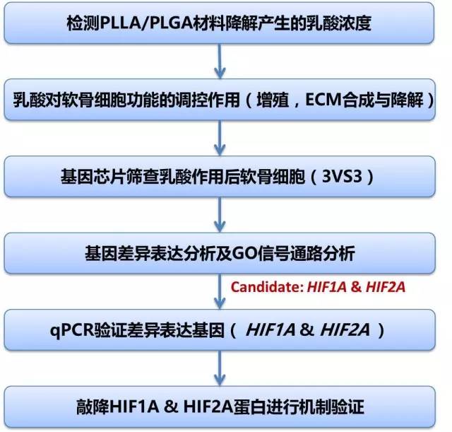你的骨头够硬吗,你的骨头还好吗