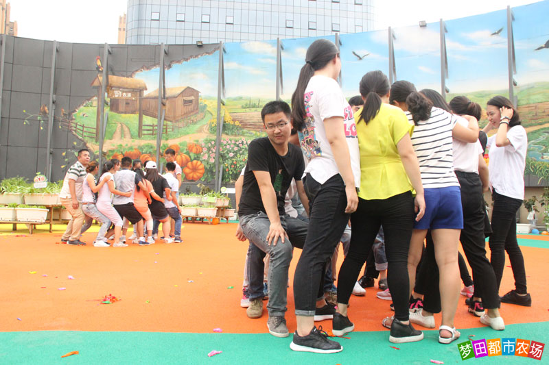 公司年会适合去的地方,公司年会去哪好