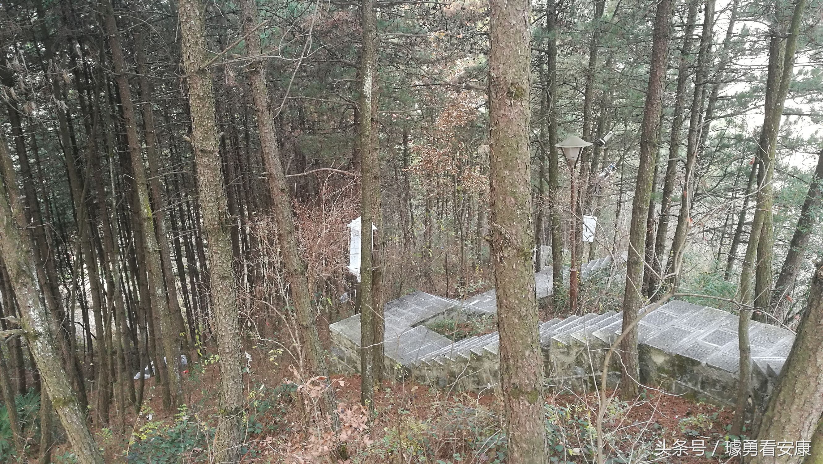 这里是中国慢城,一个让人能够宁静的城市这里环境美人情更美