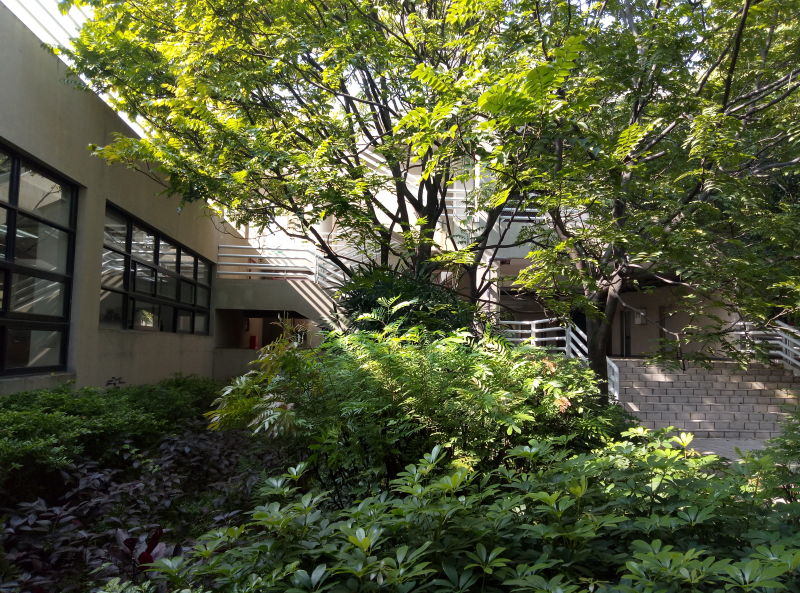 除了红米还有什么手机性价比高,魅蓝note5值得入手么