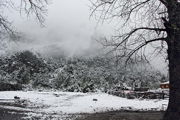 冬至了给你放个烟花,冬至我给你包饺子视频