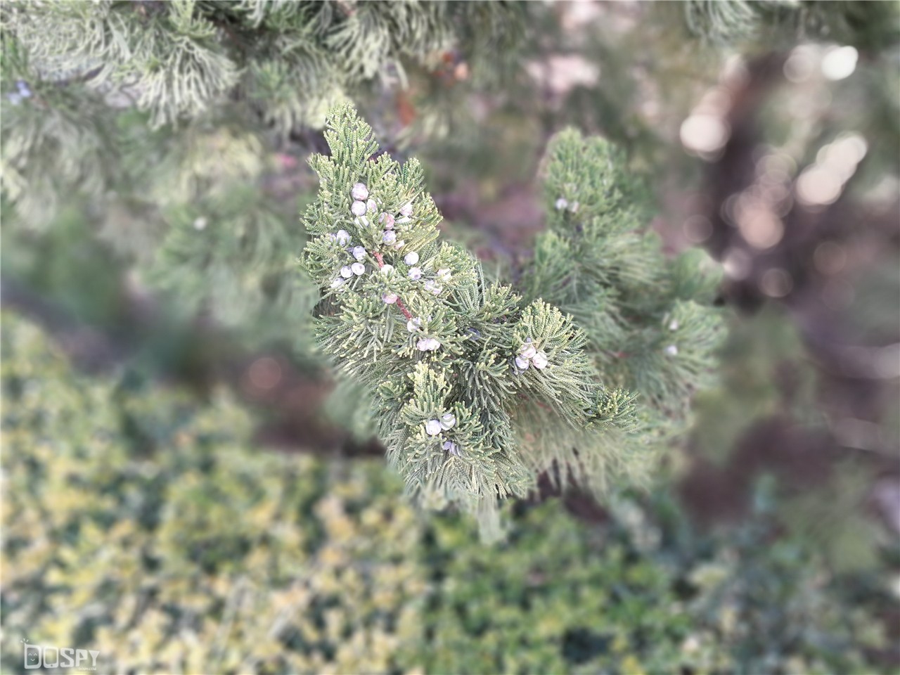 华为mate9pro评测,华为mate9pro性能详解