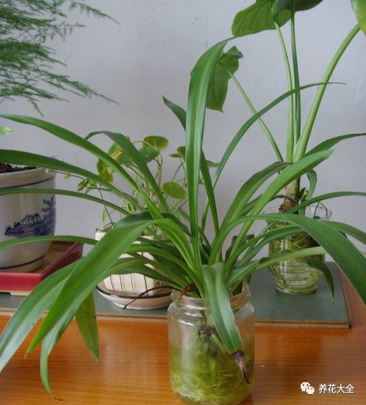 事业位置摆什么好招财,办公桌上摆什么招财助事业