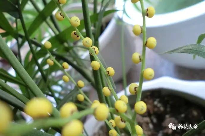 事业位置摆什么好招财,办公桌上摆什么招财助事业