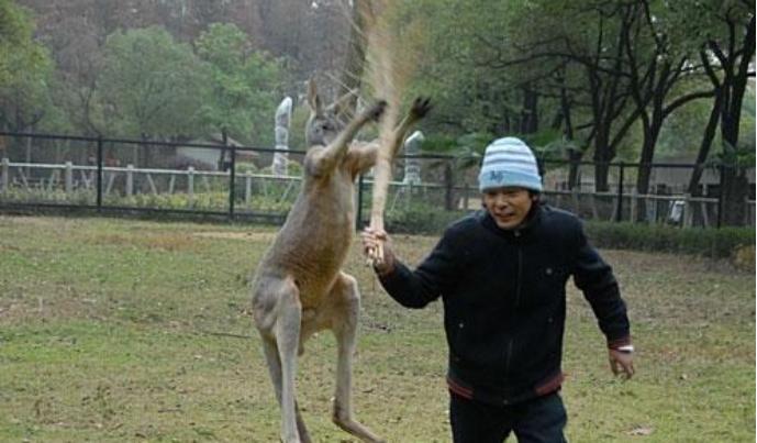 这是一个关于一群华人富婆，到澳洲买苦吃的故事