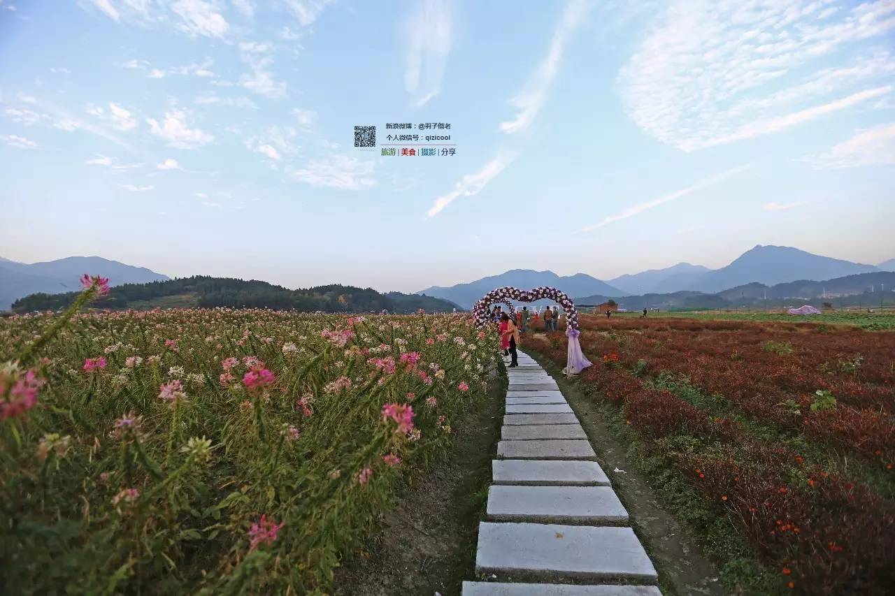 去连州有什么好玩的,清远连州旅游详细攻略