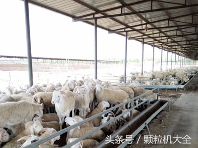 玉米秸秆饲料颗粒配方,秸秆饲料颗粒生产线