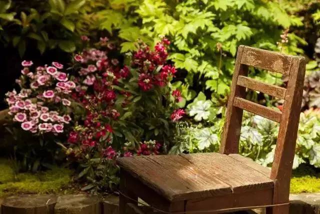 胡守连的“花迹酒店”