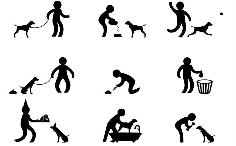 养狗之前请想好,养狗一定要知道的事