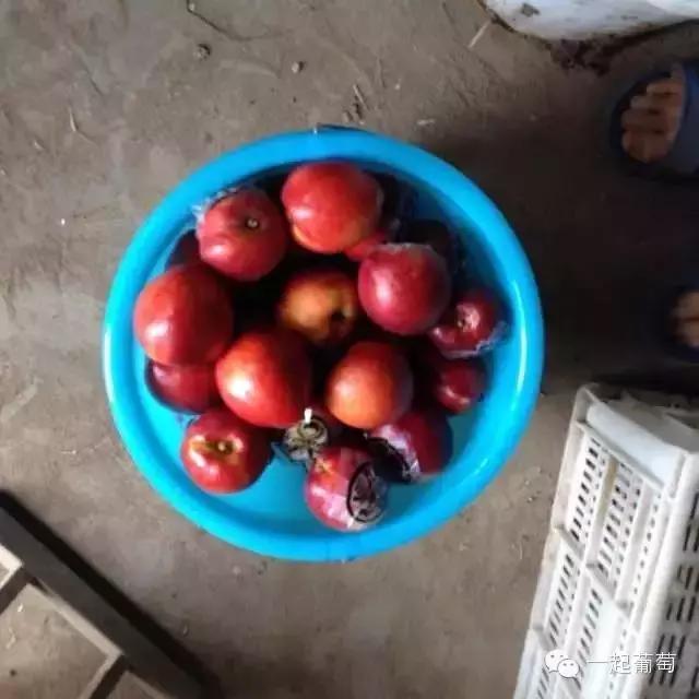 当扶贫遇上互联网,当统战工作遇上互联网