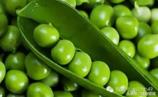 健身快速增肌的食物有哪些,健身蛋白质含量高的食物有哪些