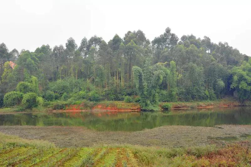 Hello！眉山车辆厂！只有东北人能看懂！